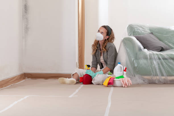 Reliable Mold Removal contractor in Thomasville, NC by WQB Mold Removal
